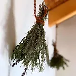 Glamping * Szalka
