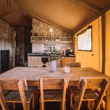 Luxury tent Glamping